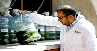 Científicos de IDEA desarrollan proyecto biotecnológico con microalgas