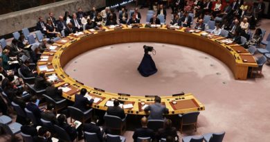 ONU no adopta propuesta de resolución ruso para proteger civiles en Gaza