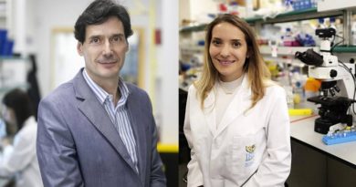 Vitamina B12 reprograma las células y regenera los tejidos del organismo