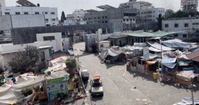 OMS alerta sobre situación sanitaria en la Franja de Gaza