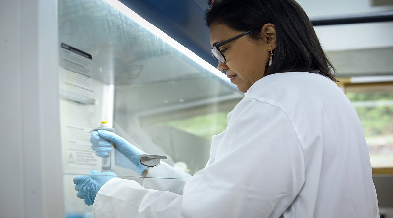 Destacan investigaciones del IVIC orientadas al estudio de enfermedades parasitarias