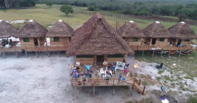 Continúa arribo de turistas a selva de Amazonas