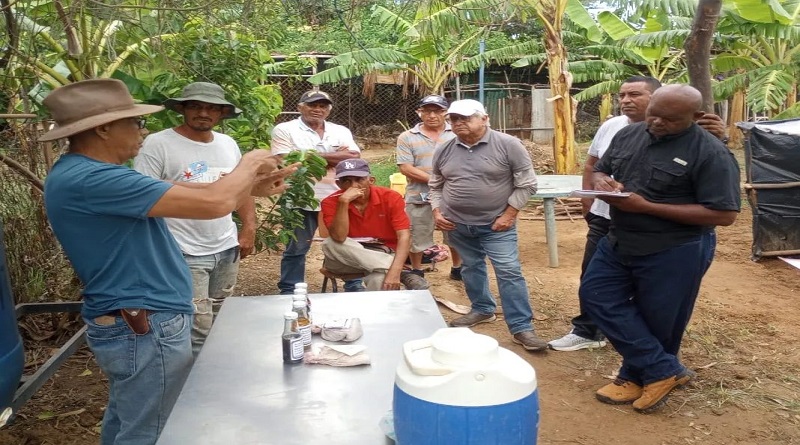 Realizan taller de prácticas agrícolas y tecnológica de musáceas en Falcón
