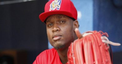 Tigres de Aragua refuerza bullpen con incorporación del dominicano Luis Mey