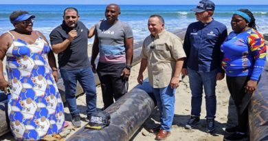 MinAguas consolida obras del sistema hídrico en La Guaira