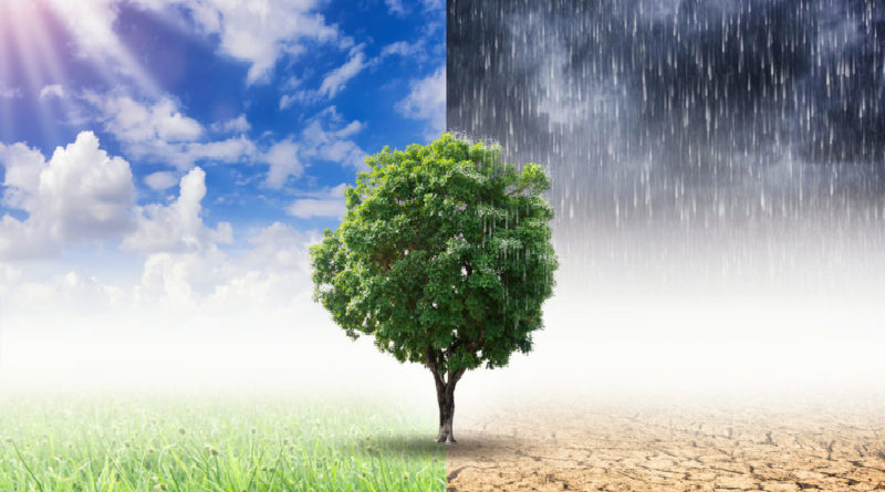China Publica modelo de simulación terrestre para estudiar cambio climático