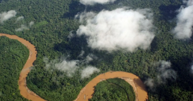 Venezuela reafirma compromiso ante la Otca para promover proyectos ambientales