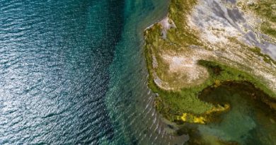 Clima extremo podría favorecer invasión de especies exóticas