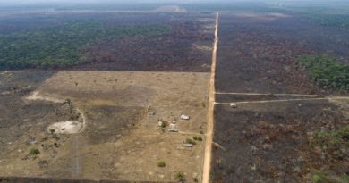 Deforestación en la Amazonía brasileña disminuye en 22,3 %