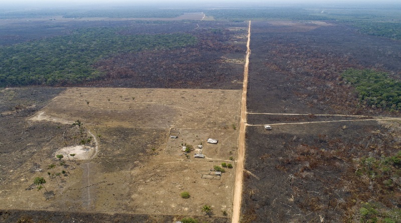 Deforestación en la Amazonía brasileña disminuye en 22,3 %