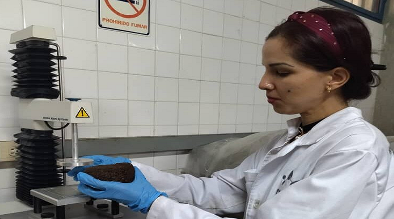 Desarrollan prototipos funcionales de Bloques Multinutricionales
