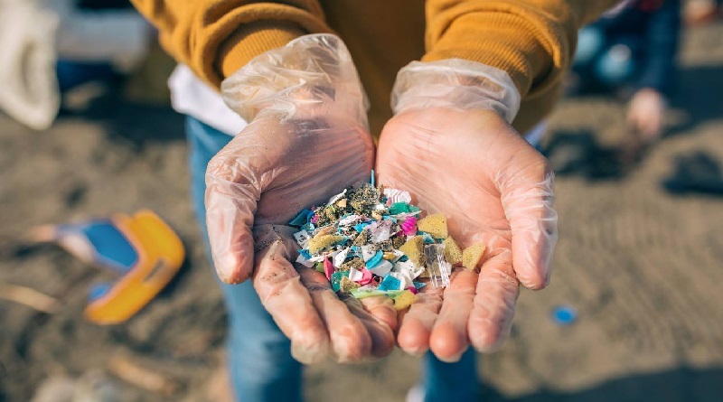 Especies acuáticas de los ríos están contaminadas por microplásticos