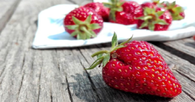 Conozca tres alimentos que ayudan a mejorar la memoria
