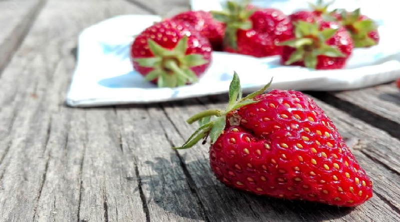 Conozca tres alimentos que ayudan a mejorar la memoria