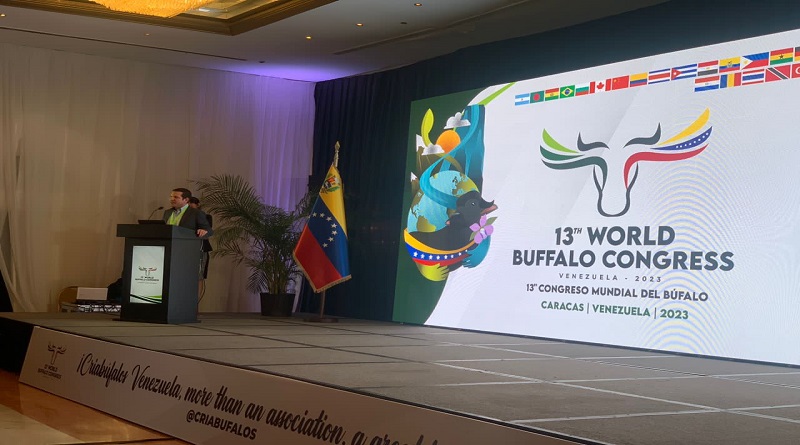 Venezuela está a la vanguardia de cría de búfalos