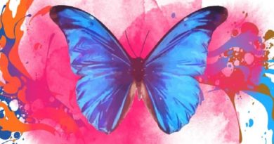 Exposición «Te queremos Viva» conmemora la no violencia contra la mujer
