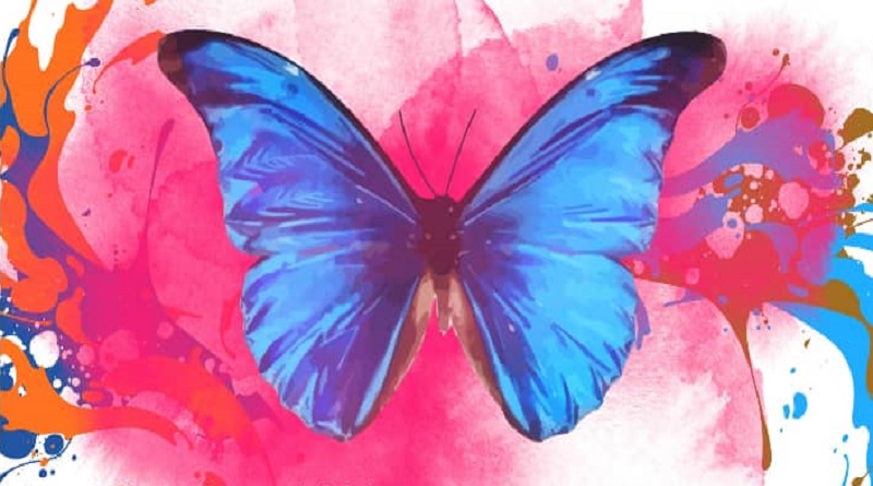 Exposición «Te queremos Viva» conmemora la no violencia contra la mujer