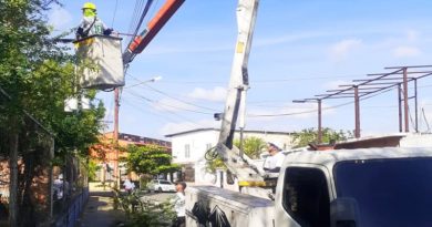 Avanzan labores de poda y limpieza al sur de Valencia
