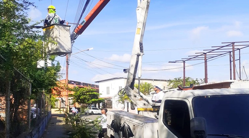 Avanzan labores de poda y limpieza al sur de Valencia