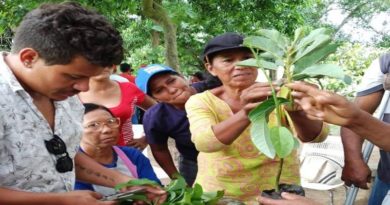 Ejecutan nuevas técnicas de desarrollo agrourbano en Miranda