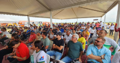 Impulsan la producción de café en el estado Portuguesa