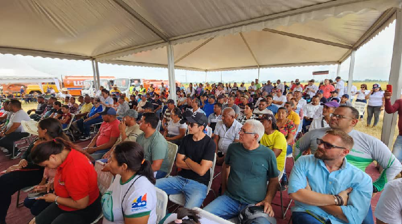 Impulsan la producción de café en el estado Portuguesa