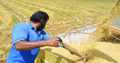 Fuerzas productivas afianzan crecimiento económico en Guárico