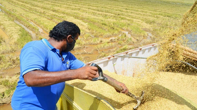 Fuerzas productivas afianzan crecimiento económico en Guárico