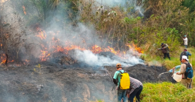 Bolivia recibirá a bomberos forestales venezolanos para combatir incendios
