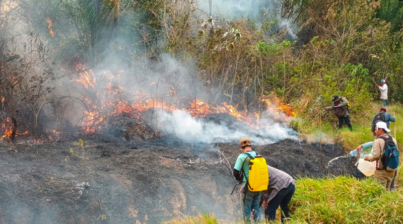 Bolivia recibirá a bomberos forestales venezolanos para combatir incendios