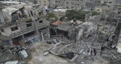 OMS: Más de una docena de hospitales en la Franja de Gaza no funcionan