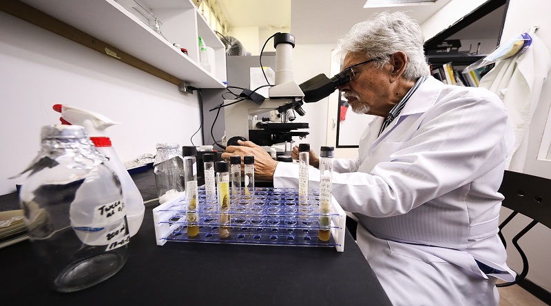 Investigadores contribuyen a producción agrícola con proyectos Científicos