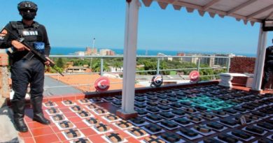 Incautan 297 panelas de marihuana en estado La Guaira