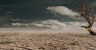 Año 2023 será el más cálido desde que existen registros