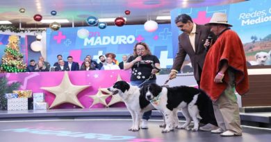 Celebran certificación de nueve ejemplares Mucuchíes como única raza pura en el país