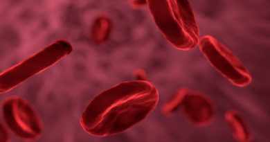 ¿Qué es y en qué consiste la anemia ferropénica?