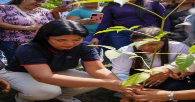 Declaran al Apamate como árbol emblemático en Anzoátegui