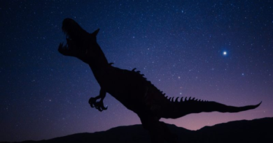 Aseguran que dinosaurios se hubieran extinto sin la necesidad de un meteorito