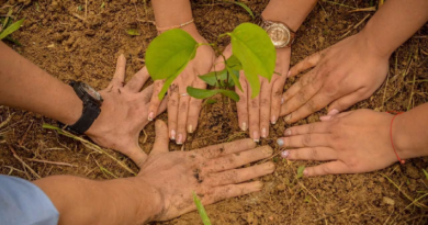 Jóvenes tuyeros se forman para impulsar planes ecosocialistas en 2024