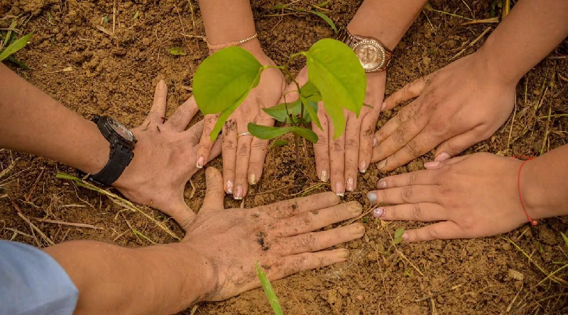 Jóvenes tuyeros se forman para impulsar planes ecosocialistas en 2024