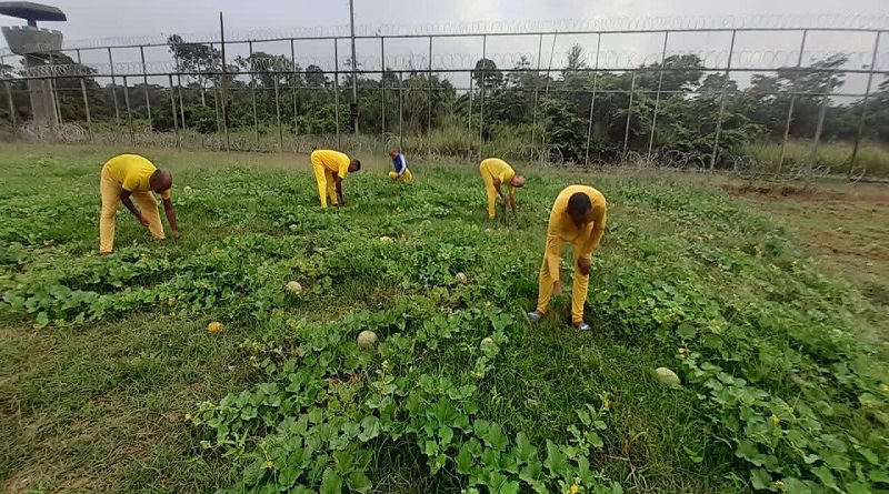Privados de libertad potencian labores socioproductivas en Venezuela