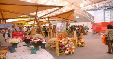 Diversidad de la artesanía venezolana se dará a conocer en Expoartesanías de Colombia 2023