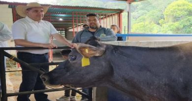 Feria Agropecuaria Artesanal potencia el desarrollo agrícola en Mérida