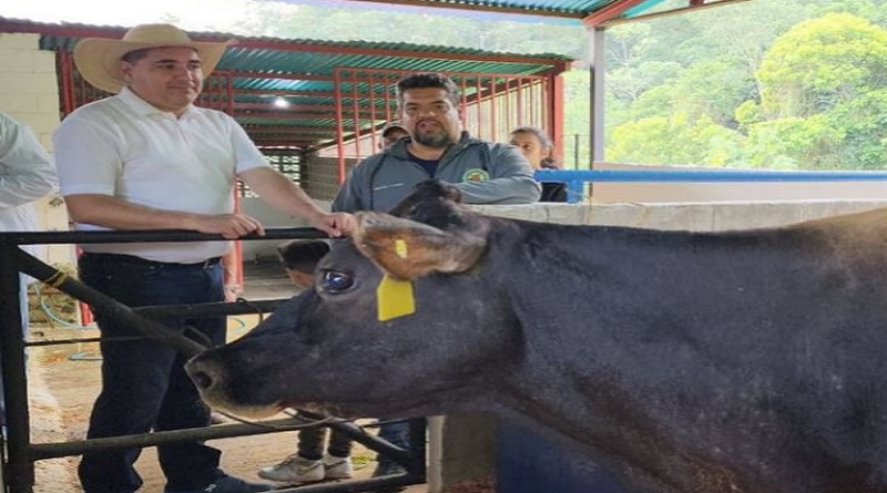 Feria Agropecuaria Artesanal potencia el desarrollo agrícola en Mérida