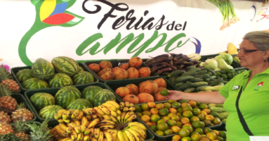Realizan más de 16 mil Ferias del Campo Soberano durante el 2023 en todo el país