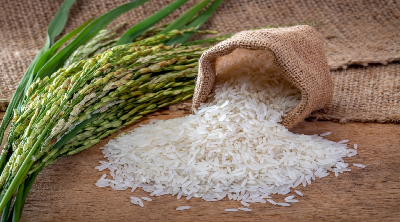 Venezuela participa en I Festival Internacional del Arroz en Vietnam