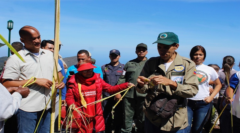 Palmeros de Chacao arriban al IV aniversario como Patrimonio Cultural de la Unesco