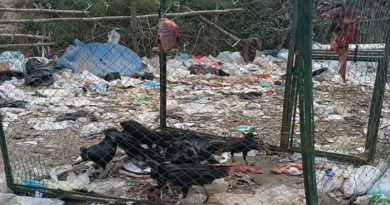 Inicia Plan de Control de Zamuros en la estación de transferencia Las Mayas