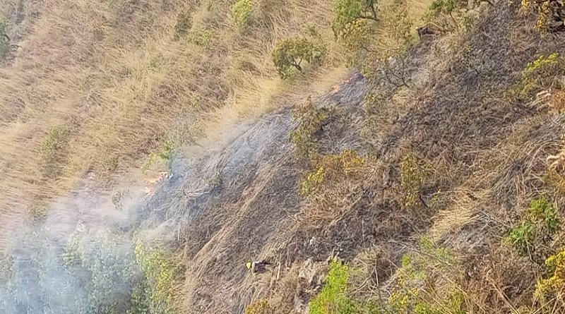 Controlan incendio en el Parque Nacional Henry Pittier en un 90%