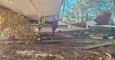 FANB neutraliza aeronaves dedicadas al narcotráfico en Apure